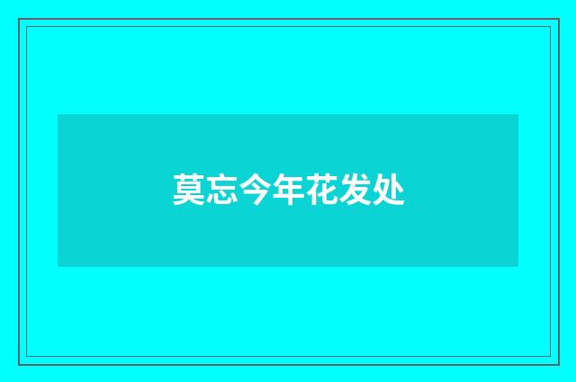 莫忘今年花发处