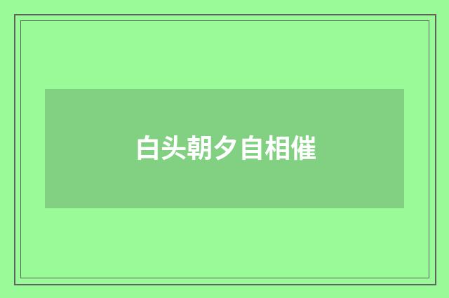 白头朝夕自相催