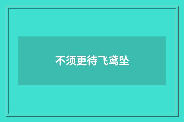 不须更待飞鸢坠