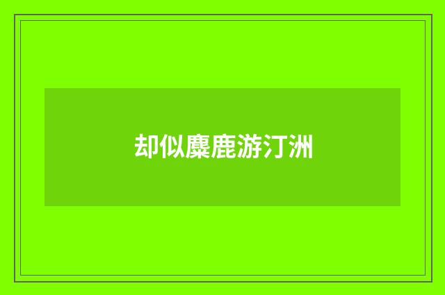 却似麋鹿游汀洲