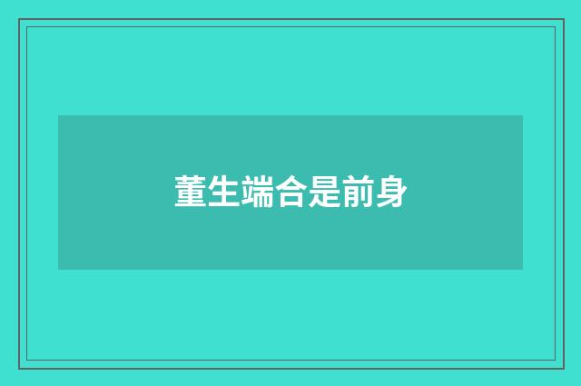 董生端合是前身