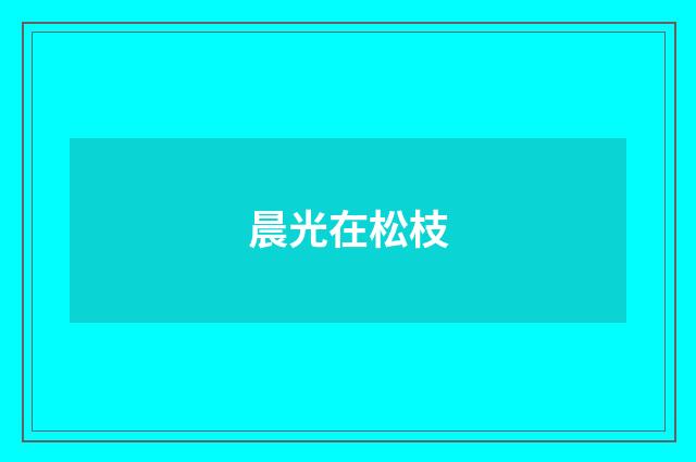 晨光在松枝