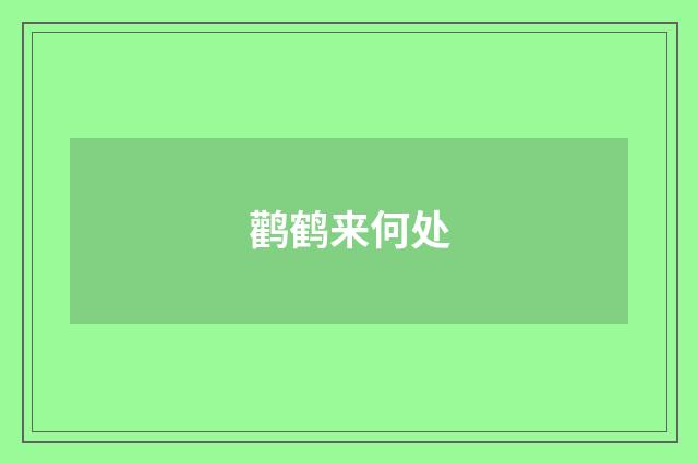 鹳鹤来何处