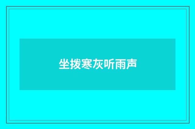 坐拨寒灰听雨声