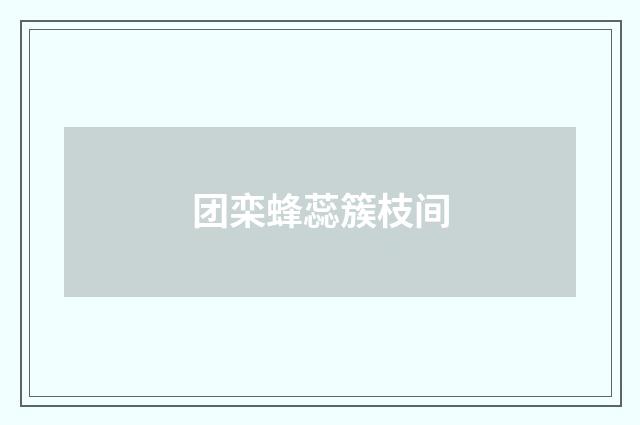 团栾蜂蕊簇枝间