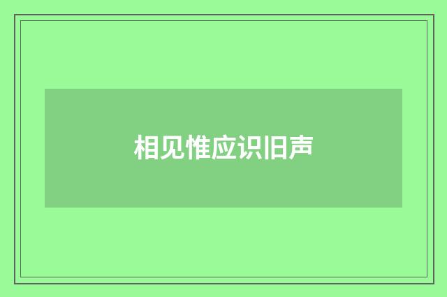 相见惟应识旧声