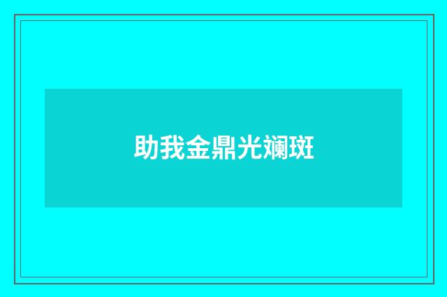 助我金鼎光斓斑
