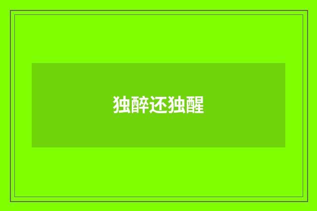 独醉还独醒