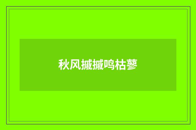 秋风摵摵鸣枯蓼