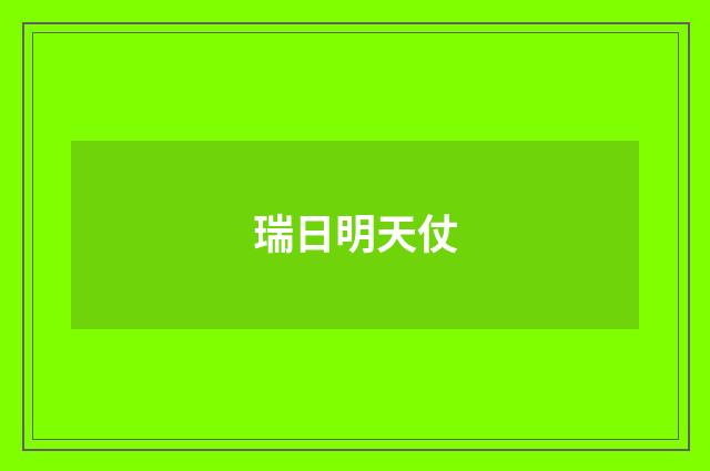 瑞日明天仗