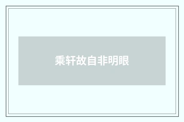 乘轩故自非明眼