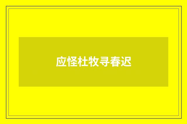 应怪杜牧寻春迟