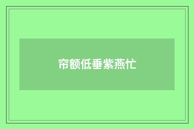 帘额低垂紫燕忙
