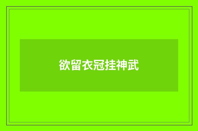 欲留衣冠挂神武