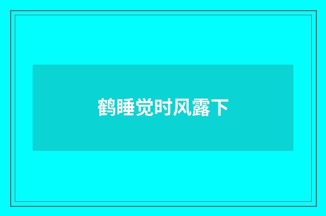 鹤睡觉时风露下