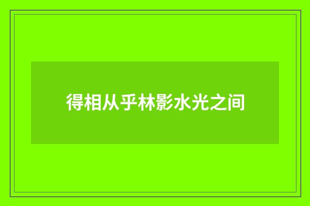 得相从乎林影水光之间