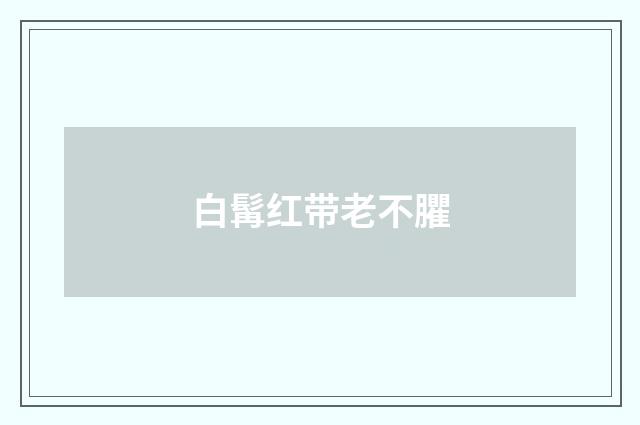 白髯红带老不臞