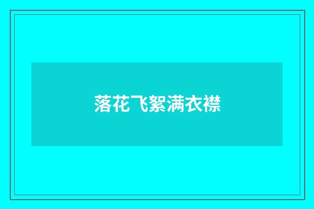 落花飞絮满衣襟