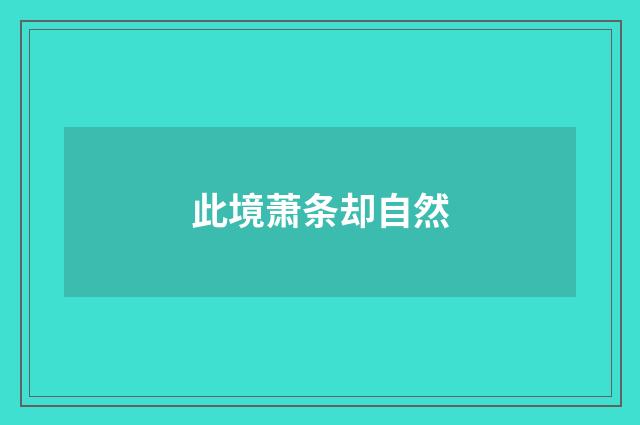 此境萧条却自然