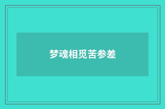 梦魂相觅苦参差
