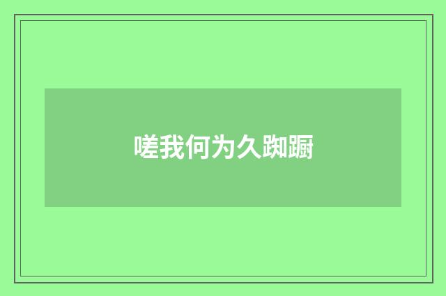 嗟我何为久踟蹰