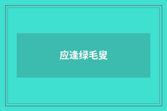 应逢绿毛叟