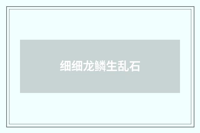 细细龙鳞生乱石