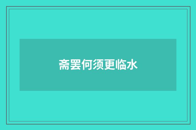 斋罢何须更临水
