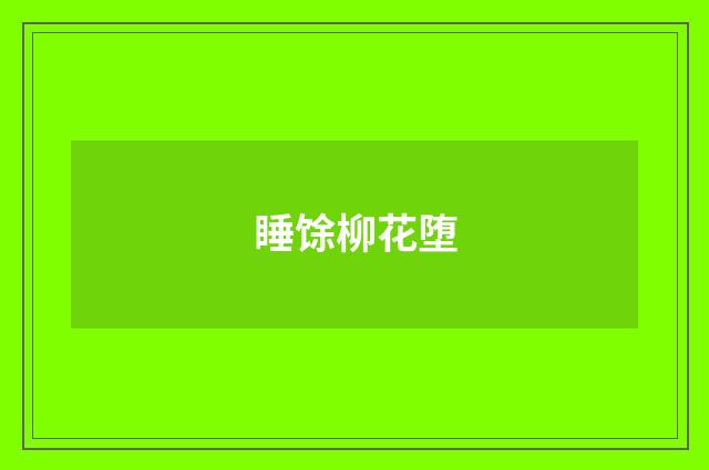 睡馀柳花堕