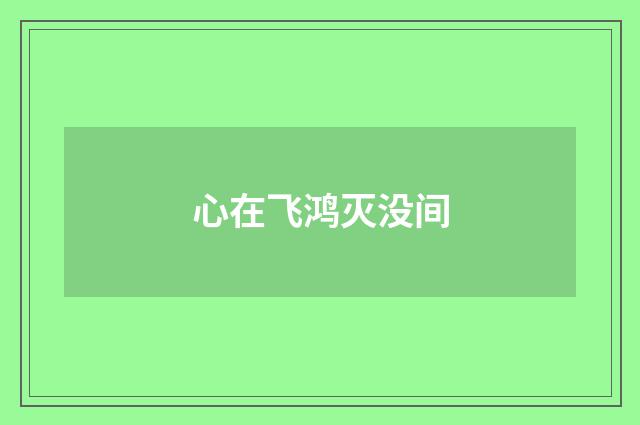 心在飞鸿灭没间
