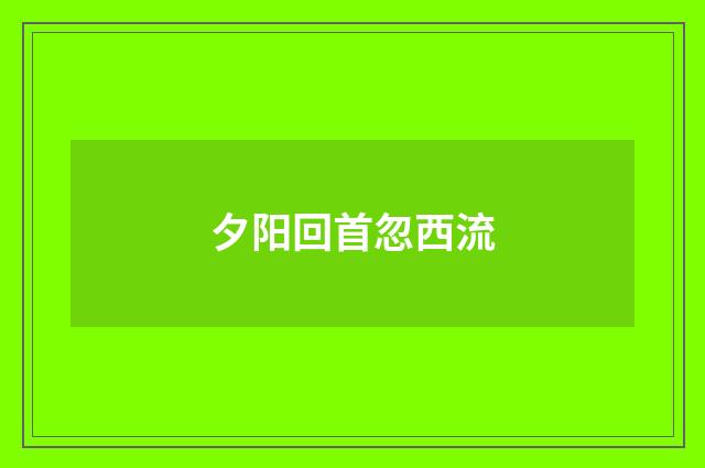 夕阳回首忽西流