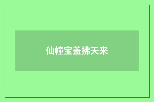 仙幢宝盖拂天来