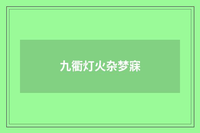 九衢灯火杂梦寐