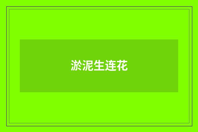 淤泥生连花
