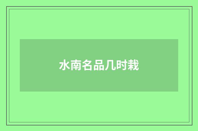 水南名品几时栽