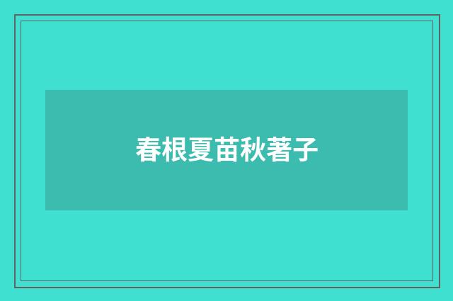 春根夏苗秋著子