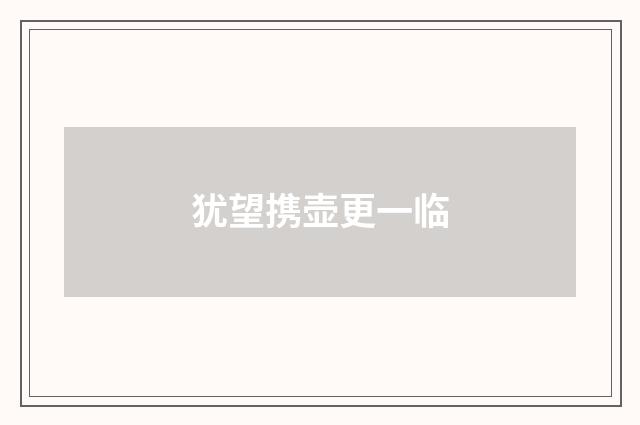 犹望携壶更一临