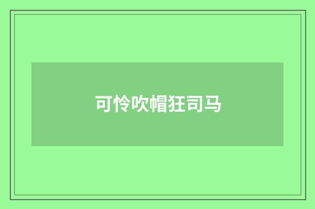 可怜吹帽狂司马