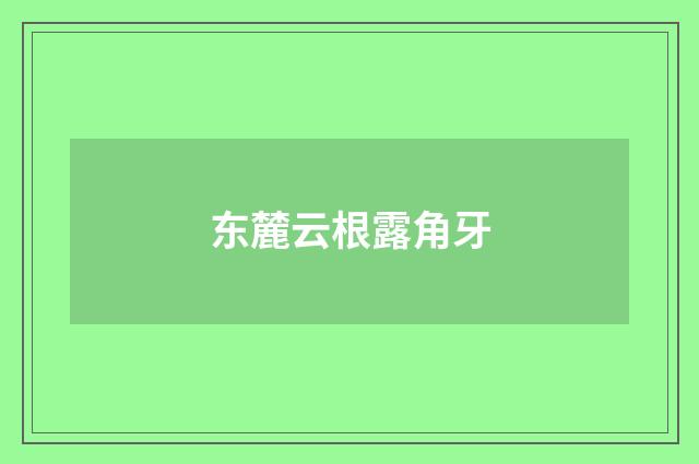 东麓云根露角牙
