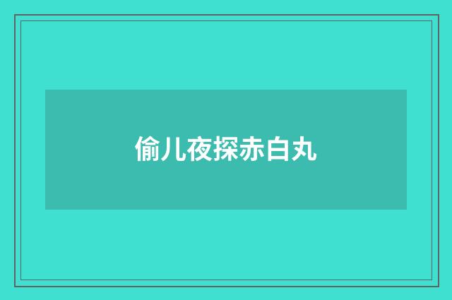 偷儿夜探赤白丸