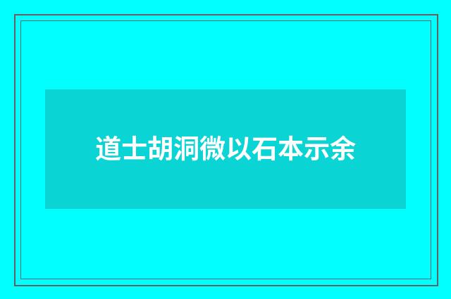 道士胡洞微以石本示余