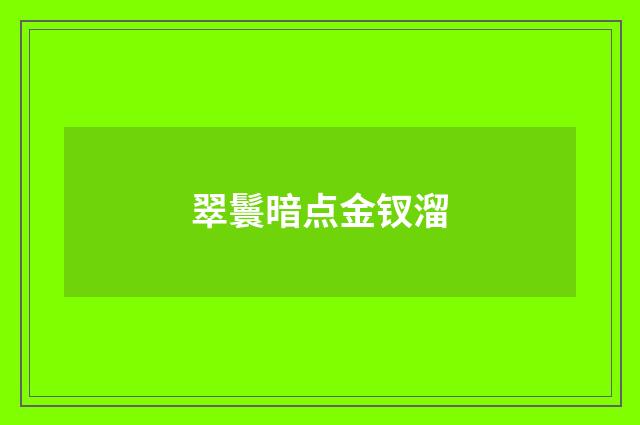 翠鬟暗点金钗溜