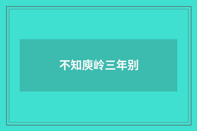 不知庾岭三年别