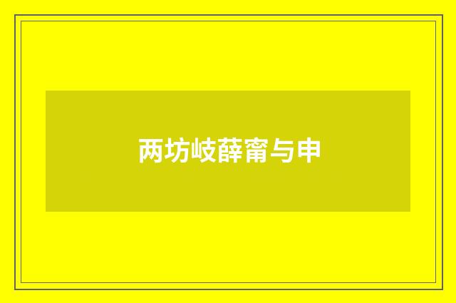 两坊岐薛甯与申