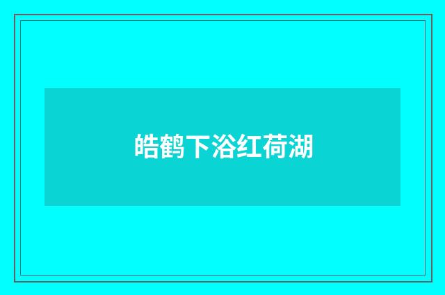 皓鹤下浴红荷湖