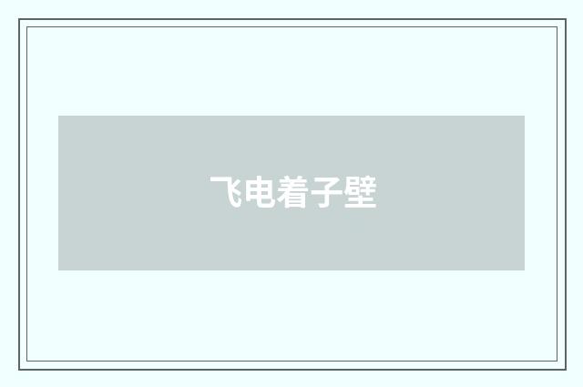 飞电着子壁