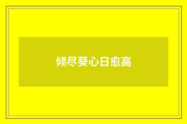 倾尽葵心日愈高