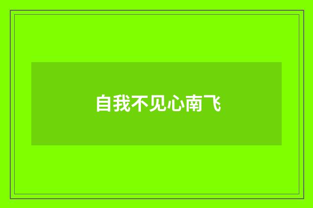 自我不见心南飞