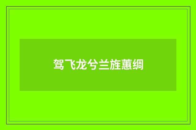驾飞龙兮兰旌蕙绸