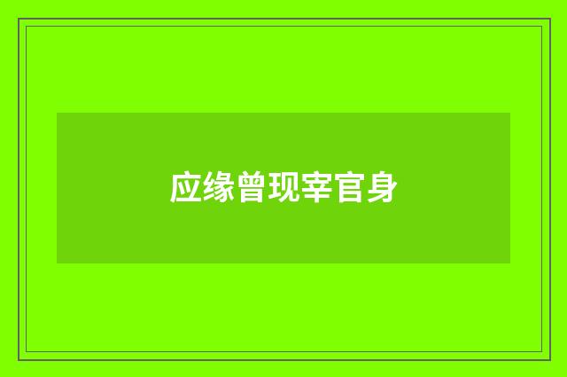 应缘曾现宰官身